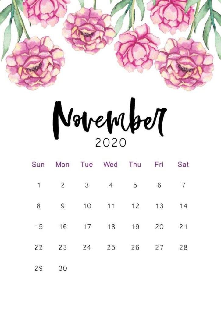 Floral November Calendar 2020 Cute Desktop and iPhone Wallpaper