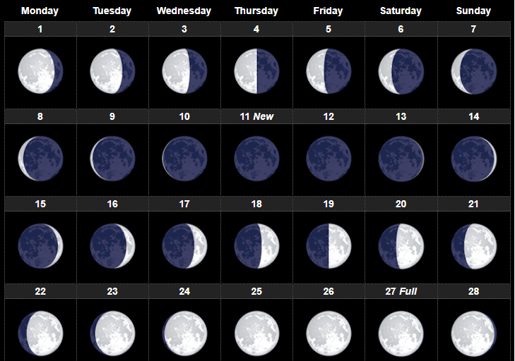 Moon Phases February 2021
