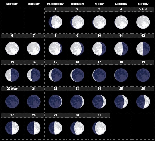 July 2020 Moon Phases calendar