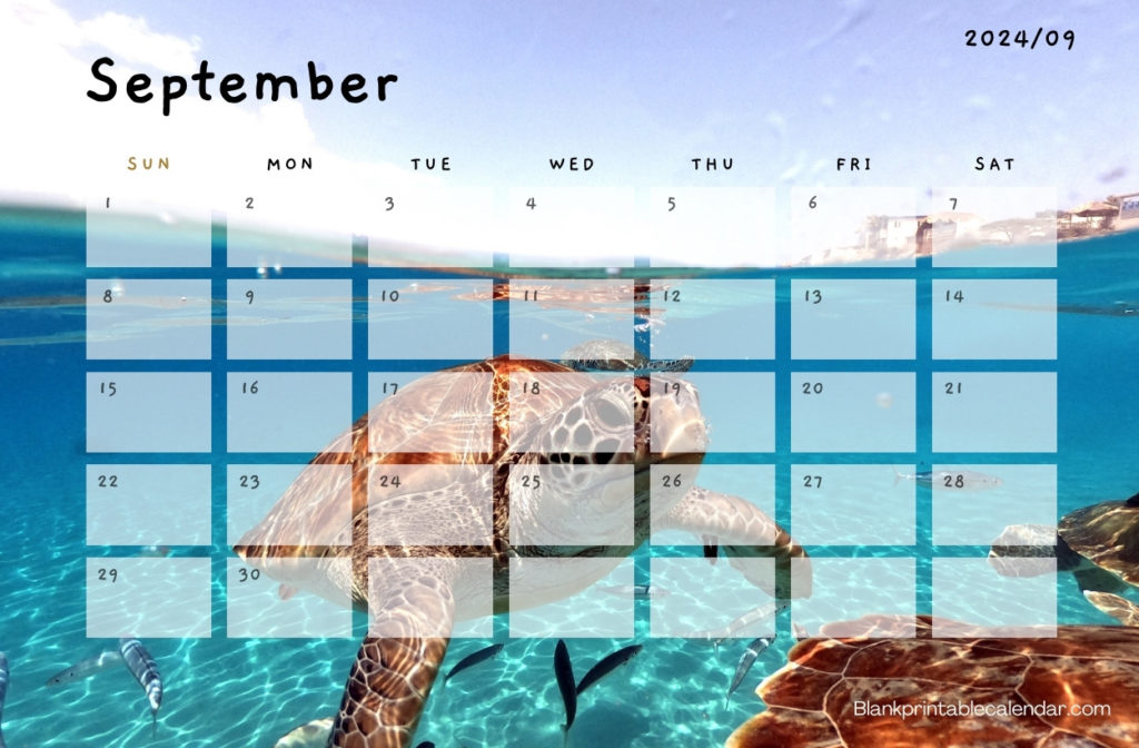 Cute 2024 September Calendar